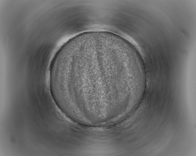 X0000112951472200909211144