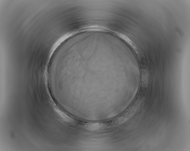 X0000112951474200909211144