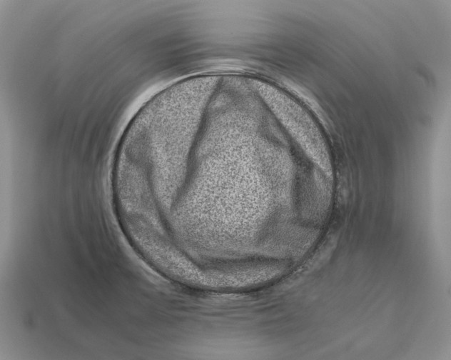 X0000112951475200909211144