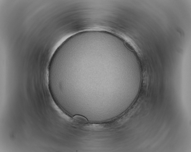 X0000112951476200909211144