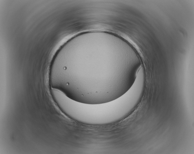 X0000112951477200909211144