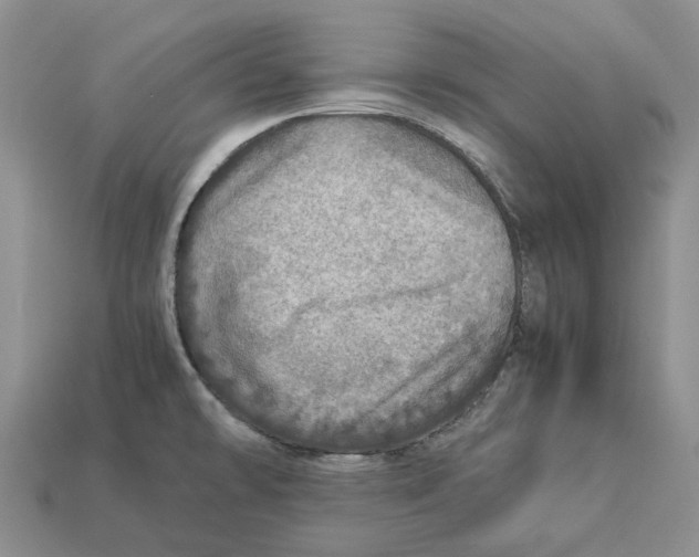 X0000112951478200909211144