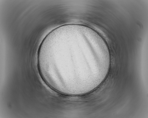 X0000112951479200909211144