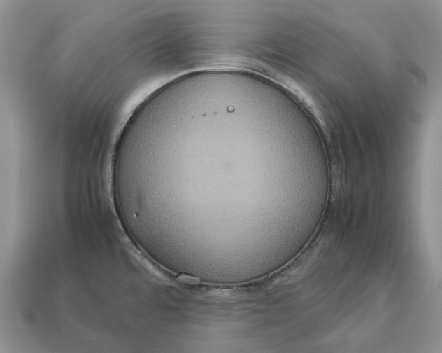 X0000112951480200909211144