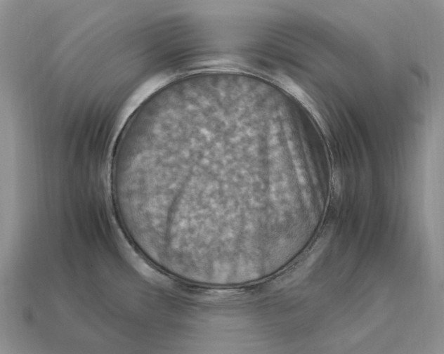 X0000112951482200909211144