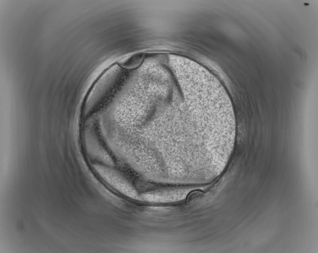 X0000112951483200909211144