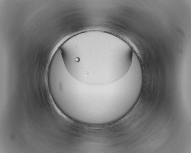 X0000112951484200909211144