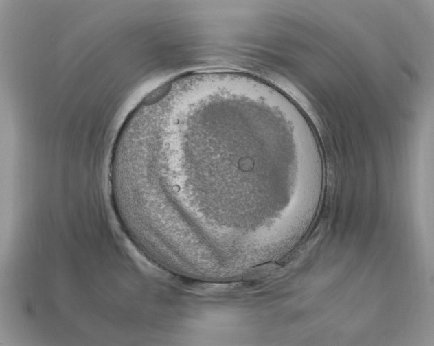 X0000112951485200909211144