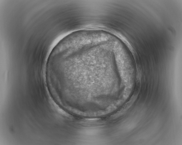 X0000112951486200909211144