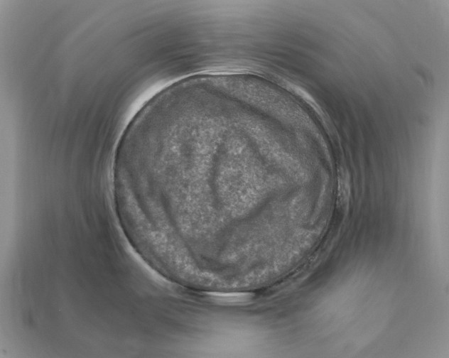 X0000112951487200909211144