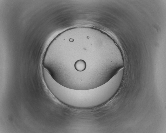 X0000112951488200909211144