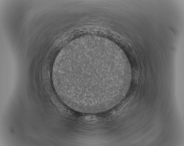 X0000112951489200909211143