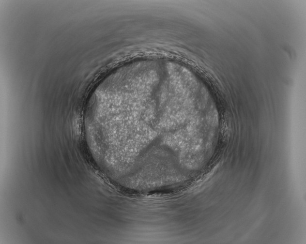 X0000112951490200909211143