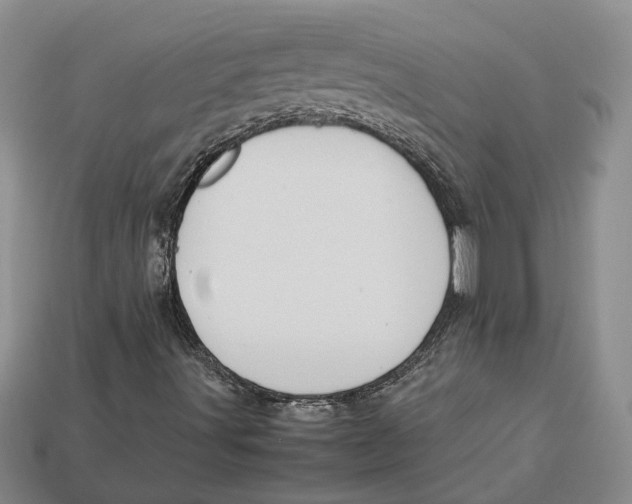 X0000112951491200909211143