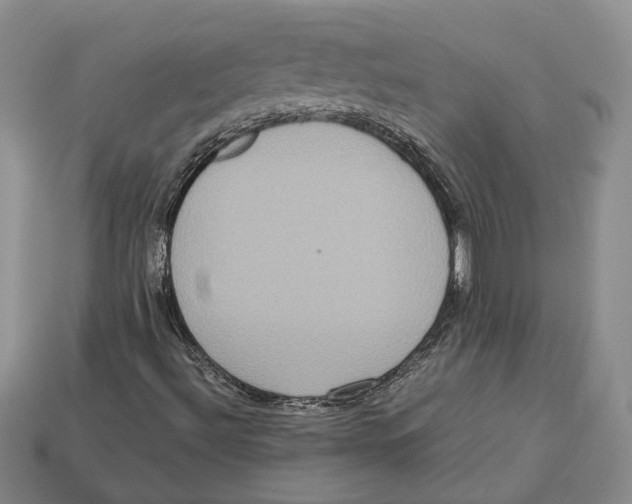 X0000112951492200909211143