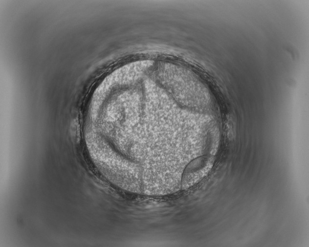 X0000112951493200909211143