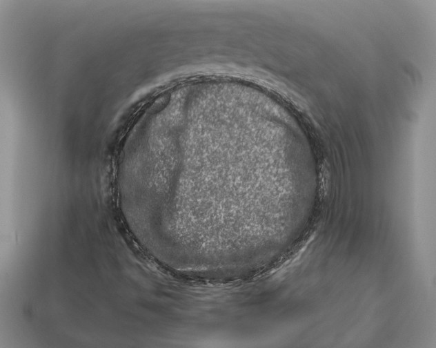 X0000112951494200909211143