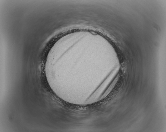 X0000112951495200909211143