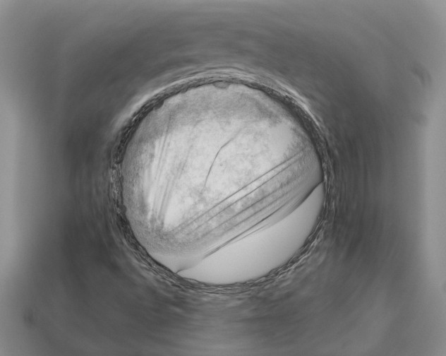 X0000112951496200909211143