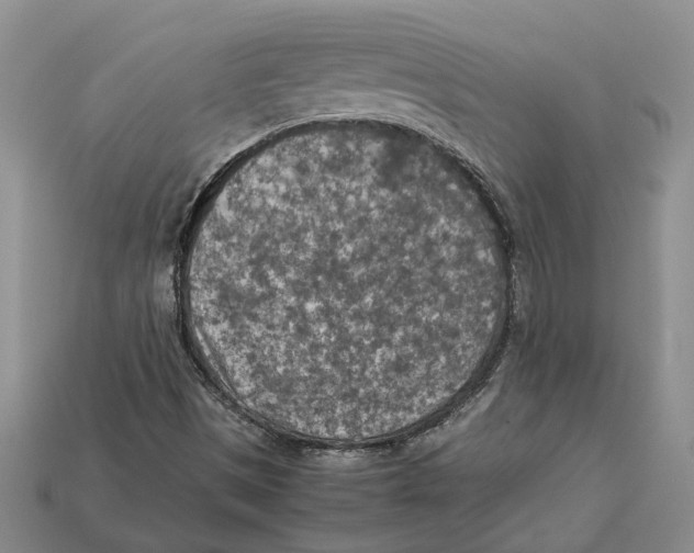 X0000112951497200909211143