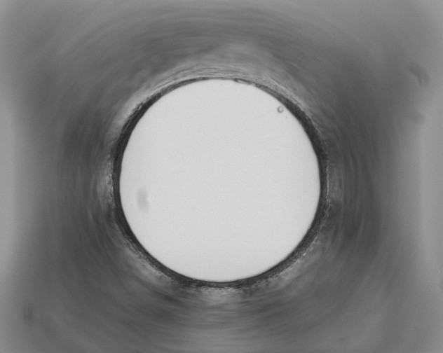 X0000112951498200909211143