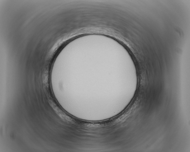 X0000112951499200909211143