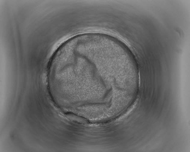 X0000112951501200909211143