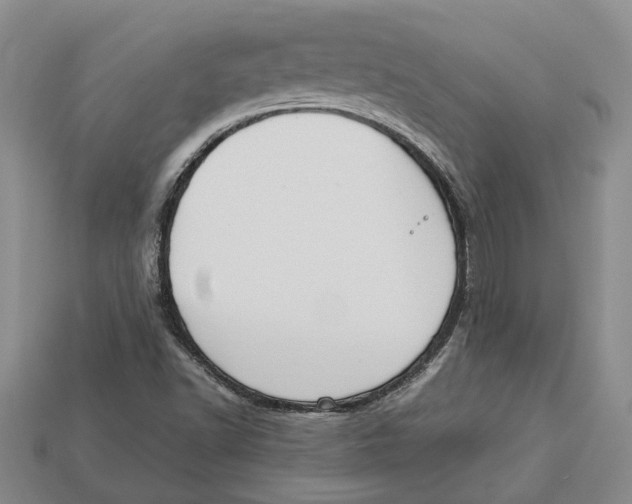 X0000112951502200909211143