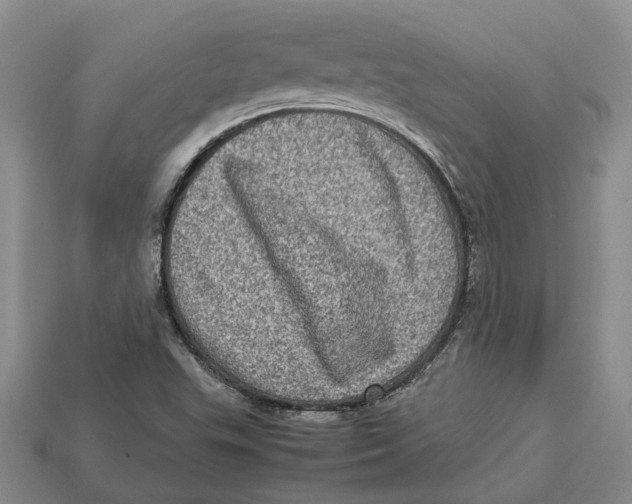 X0000112951503200909211143