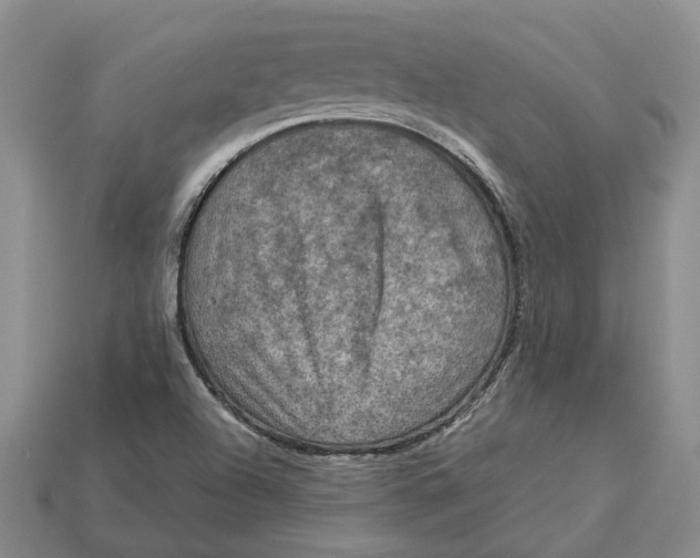 X0000112951504200909211143