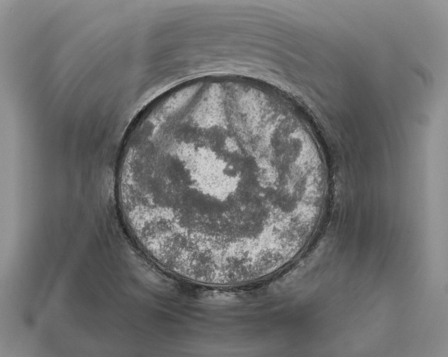 X0000112951505200909211143