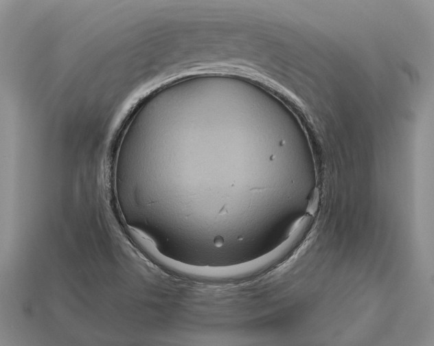 X0000112951506200909211143