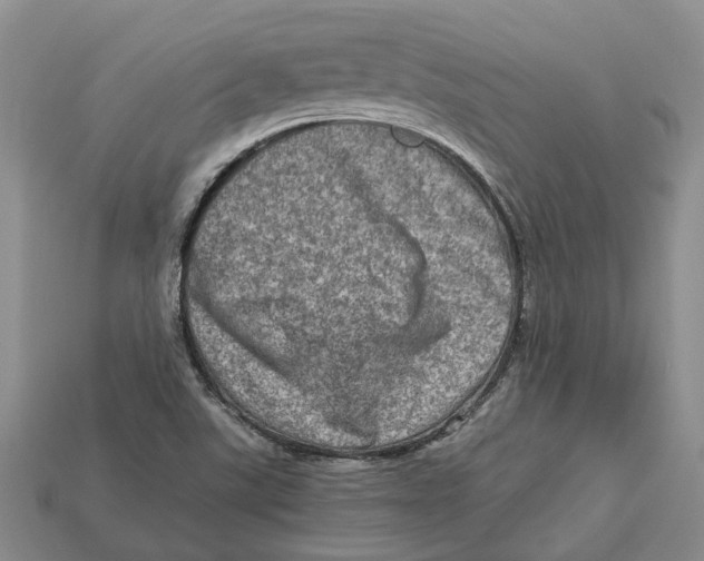 X0000112951507200909211143