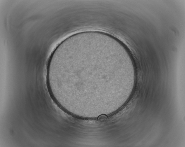 X0000112951508200909211143