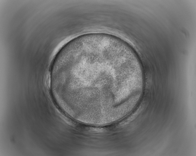 X0000112951509200909211143