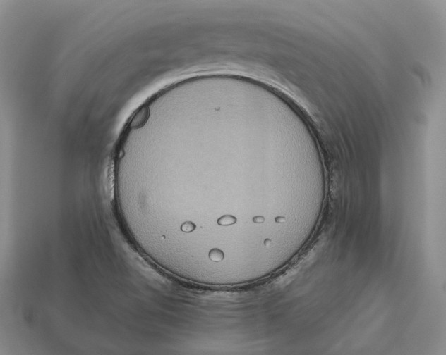 X0000112951510200909211143