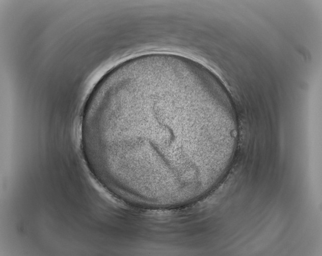 X0000112951511200909211143