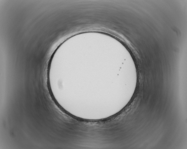 X0000112951512200909211143