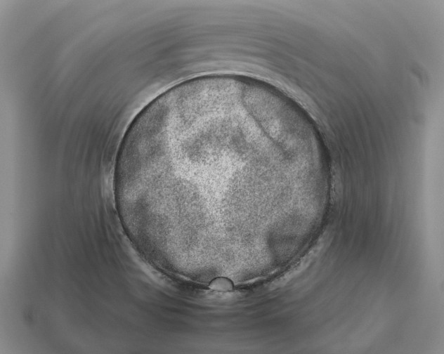 X0000112951513200909211143