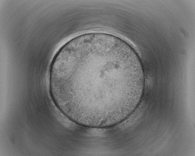 X0000112951514200909211143