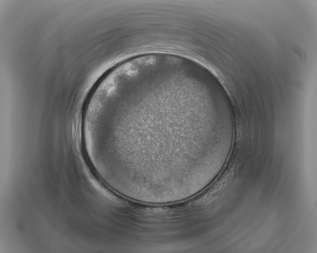 X0000112951515200909211143