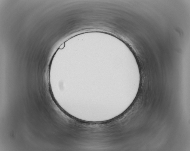 X0000112951516200909211143