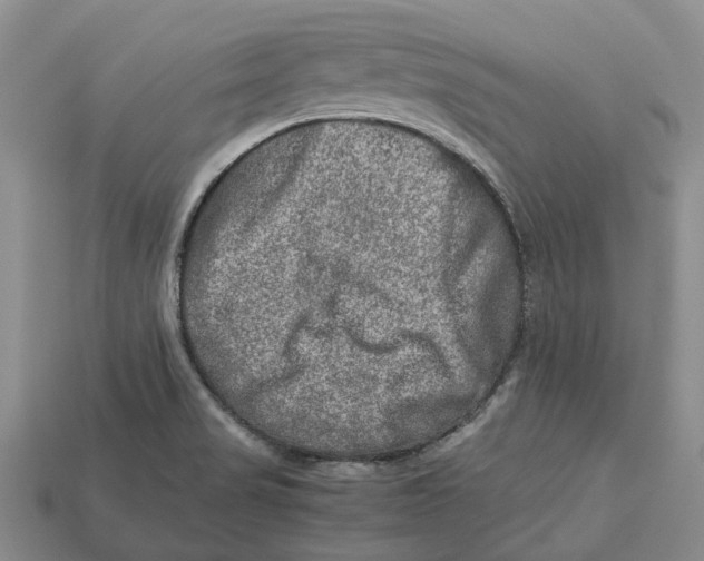 X0000112951517200909211143