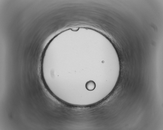 X0000112951518200909211143