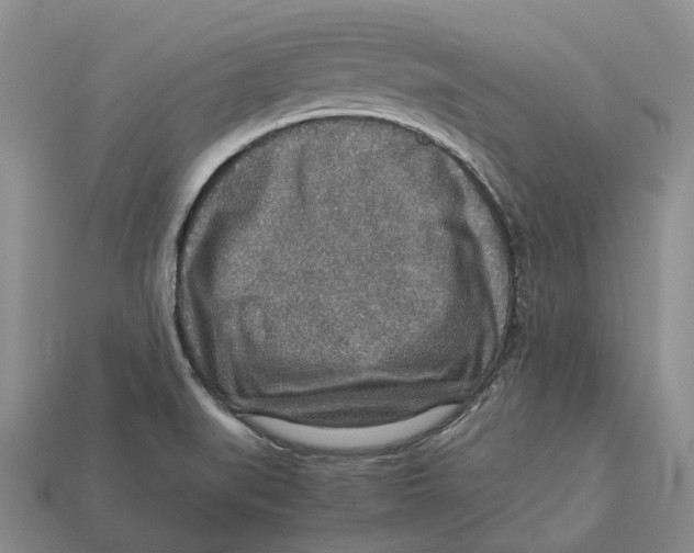 X0000112951519200909211143