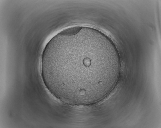 X0000112951520200909211143