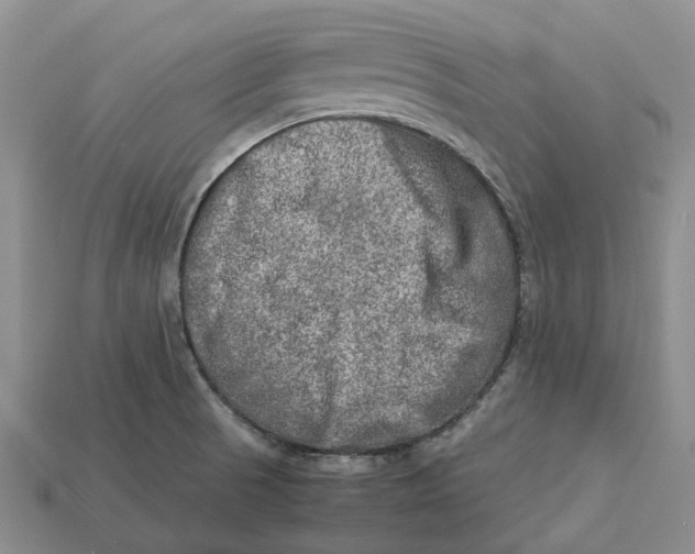 X0000112951521200909211143