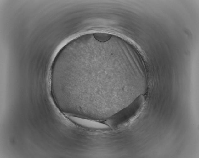 X0000112951522200909211144