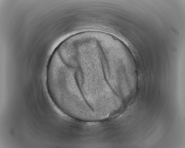 X0000112951523200909211144