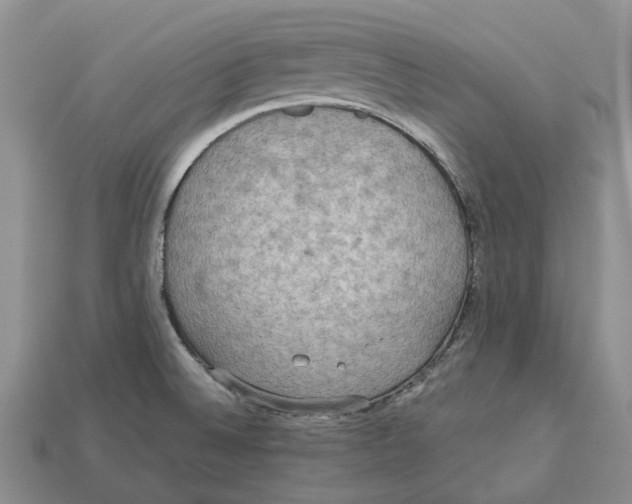 X0000112951524200909211144